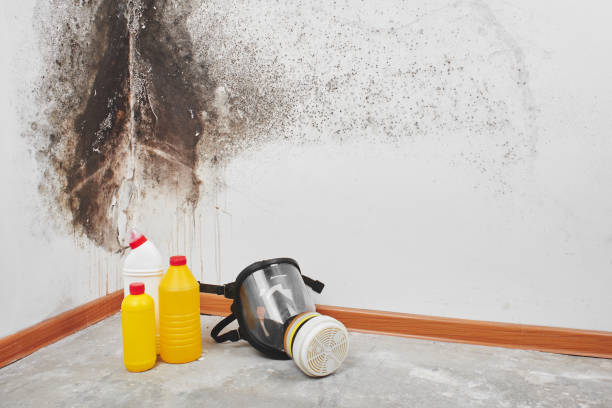 Crawl Space Mold Removal in Johnson City, KS
