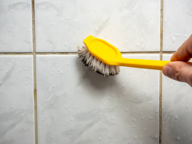 Best Professional Mold Removal  in Johnson City, KS