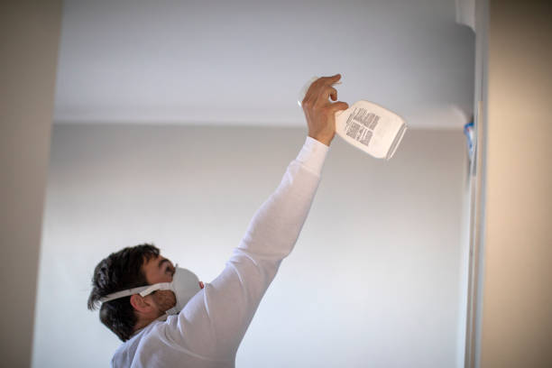 Best Toxic Mold Removal  in Johnson City, KS