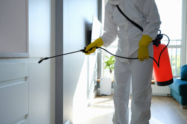 Best Water Damage Restoration  in Johnson City, KS