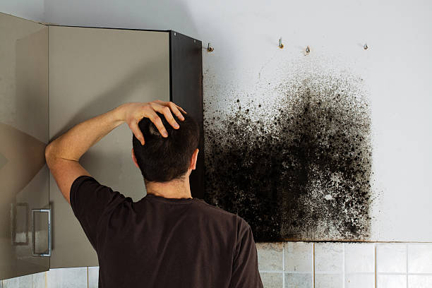 Best Crawl Space Mold Removal  in Johnson City, KS